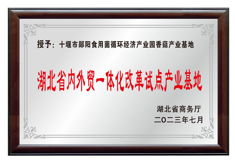 湖北省内外贸一体化改革试点产业基地