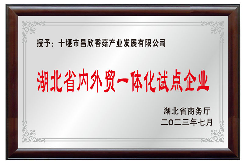 湖北省内外贸一体化试点企业